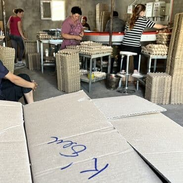 кола цена бишкек: Приглашаем к сотрудничеству торговые павильоны кондитерские цеха — 3