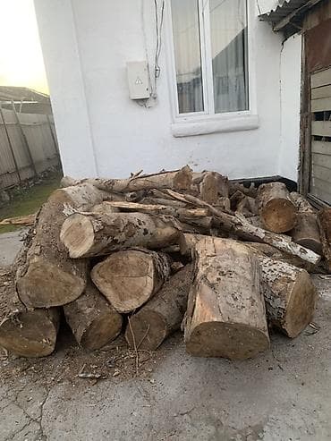 биотопливо для камина: Дрова — 1