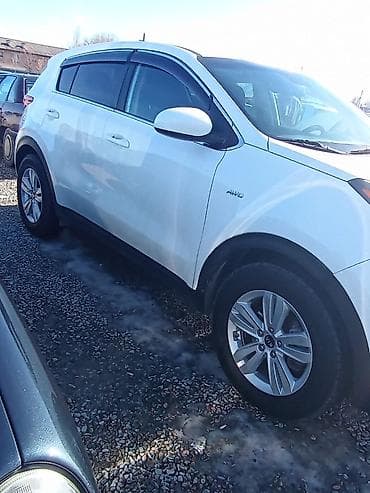 santa fr: Kia Sportage: 2018 г., 2.4 л, Автомат, Бензин, Кроссовер — 9