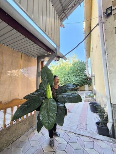 декор на новый год: Сенсация — 1