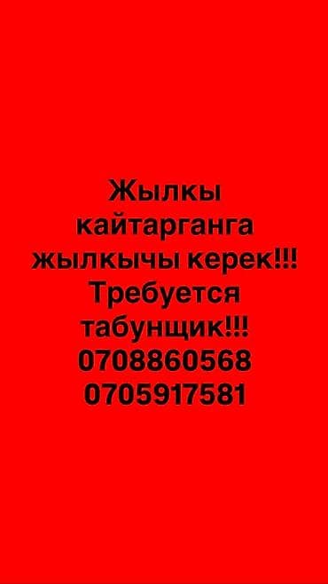 рэлтор: Вакансия: табунщик (пастух лошадей)
Жылкычы керек — 1