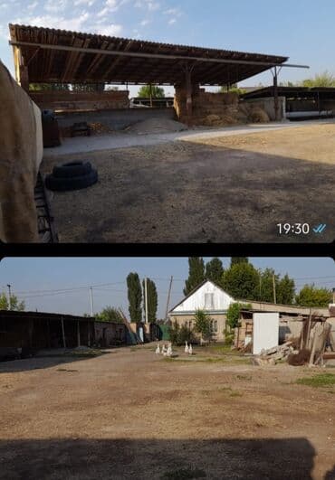 дом ваено антоновка: Үй, 32 кв. м, 4 бөлмө, Менчик ээси, Эски ремонт — 23