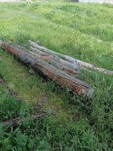 дрова кара балта: Дрова Самовывоз — 2