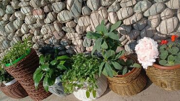 Изделия из ротанга.Принимаем заказы звонить на номер