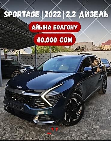6: Kia Sportage: 2022 г., 1.6 л, Автомат, Гибрид, Кроссовер — 1