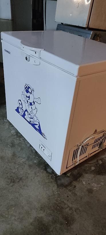 Морозильный ларь CHANGER - Тип: горизонтальный морозильный ларь с