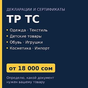 вэд: Декларация ТР ТС на одежду, обувь, детские товары — от 18 000 сом — 1