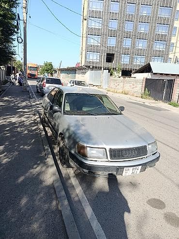 nardo grey: Audi 100: 1991 г., 2.3 л, Механика, Бензин, Седан — 5
