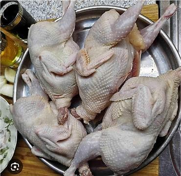 Мясо перепелки домашнее халал кг 800 сом