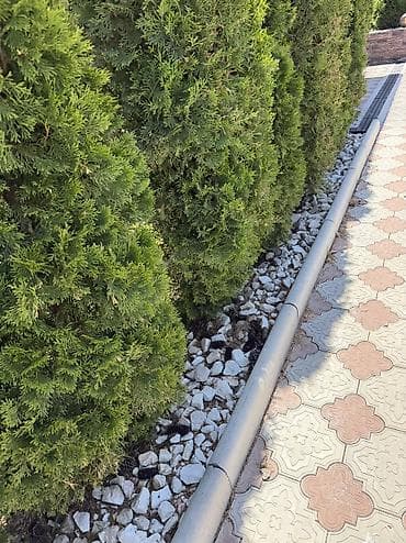 Недвижимость: Продается дом в Кок жаре,ул Куюкова 16/4 4,5 соток С ремонтом и с — 3