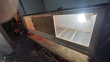 мал кой: Брудер/клетка для выращивания цыплят и другой птицы - Просторная — 6