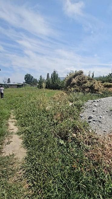 сокулук кун туу: 6 соток, Курулуш, Кызыл китеп, Сатып алуу-сатуу келишими — 7