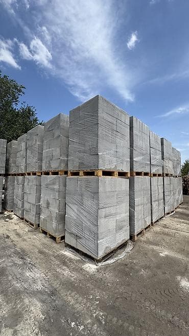 обработка тараканов: Газоблок, Неавтоклавный, 600x200x300, D700 — 2