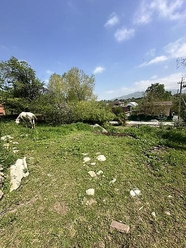 земельный участок арашан: 9 соток, Для строительства, Красная книга, Тех паспорт, Договор купли-продажи — 5