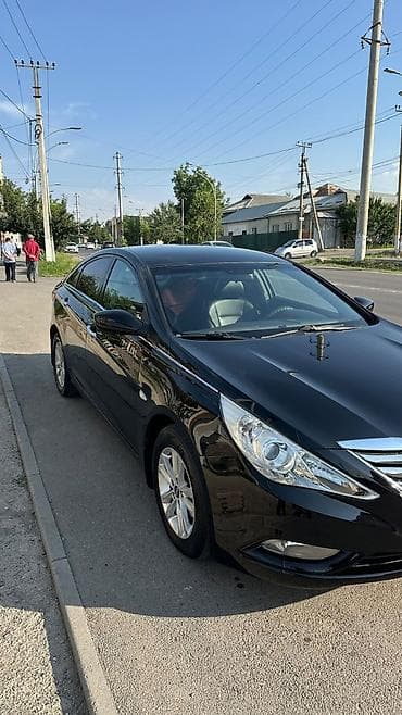 full construction: Hyundai Sonata: 2010 г., 2 л, Автомат, Газ, Седан — 1