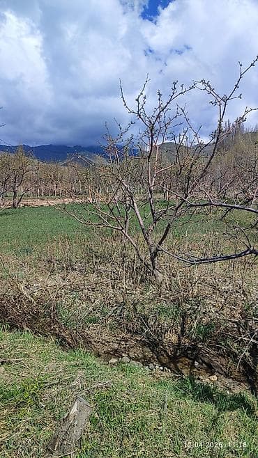 кызыл таш: 25 соток, Айыл чарба үчүн, Кызыл китеп — 3