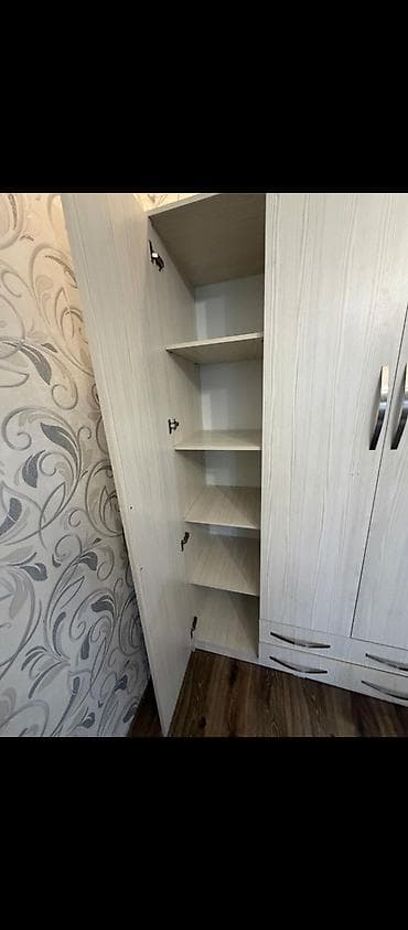 прихожие шкаф: Шифоньер, шкаф для одежды, Прямой, ЛДСП — 5