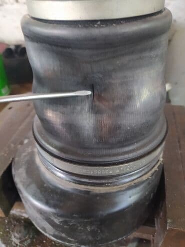 бакту долонотуу: С выездом — 24