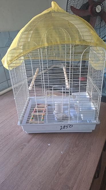 Клетка для попугаев с комплектом аксессуаров at lalafo.kg Клетка для попугаев с комплектом аксессуаров