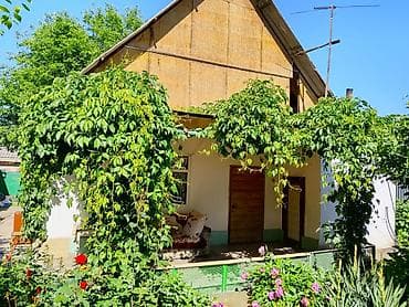 продаю фермы: Дом с приусадебным участком и виноградником. - Один этаж + высокий — 1
