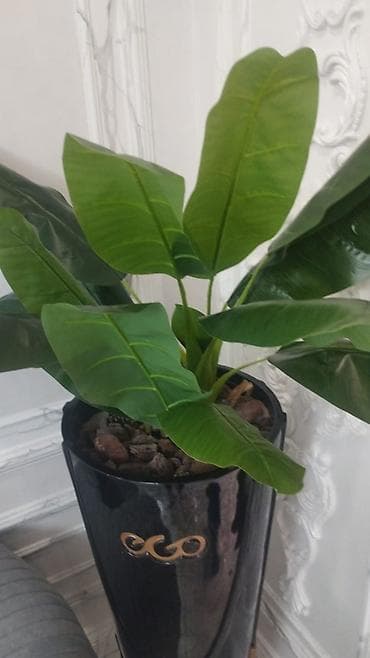 green leaf: Искусственное декоративное растение в кашпо. - Реалистичные крупные — 1