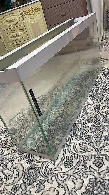 муравейная ферма: Стеклянный аквариум прямоугольной формы с верхней и нижней окантовкой — 2