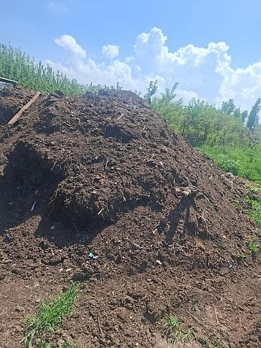 мицелий грибов: В тоннах, Бесплатная доставка, Портер — 1