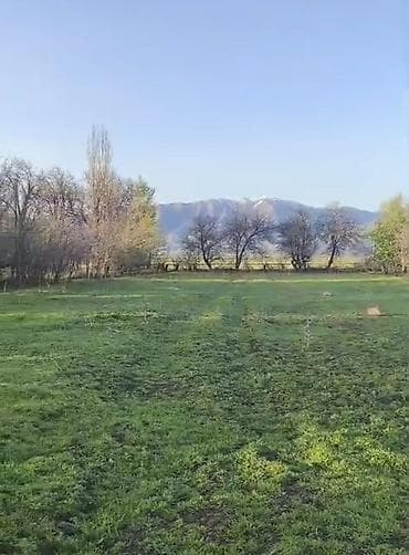 Недвижимость: 12 соток, Красная книга, Договор купли-продажи — 2