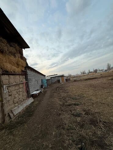 дом сх фрунзе сокулук: Үй, 3500 м², 6 бөлмө, Менчик ээси, Косметикалык оңдоо — 16