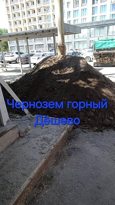 В тоннах, Зил