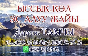 Кыймылсыз мүлк: Үй (жеке сектор), Тамчы, 7 орун — 1
