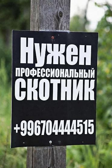 Требуется Скотник, Оплата: Ежемесячно, Питание