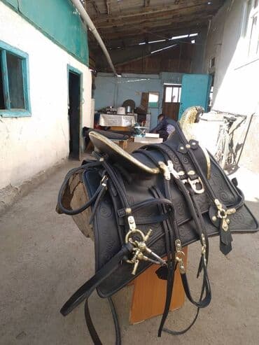 кой кыркыч: КЫРГЫЗ ЭЭР ТОКУМ. НАТУРАЛЬНАЯ КОЖА — 4