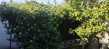 vostok 5: Срочно Продаю дом барачного типа с мебелью . Кирпичный завод. район — 5