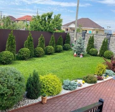 🌿Сеем Газон 🌿Посев газона 🌿 Обработка газона от сорняка 🌿 Удобрения at lalafo.kg 🌿Сеем Газон 🌿Посев газона 🌿 Обработка газона от сорняка 🌿 Удобрения