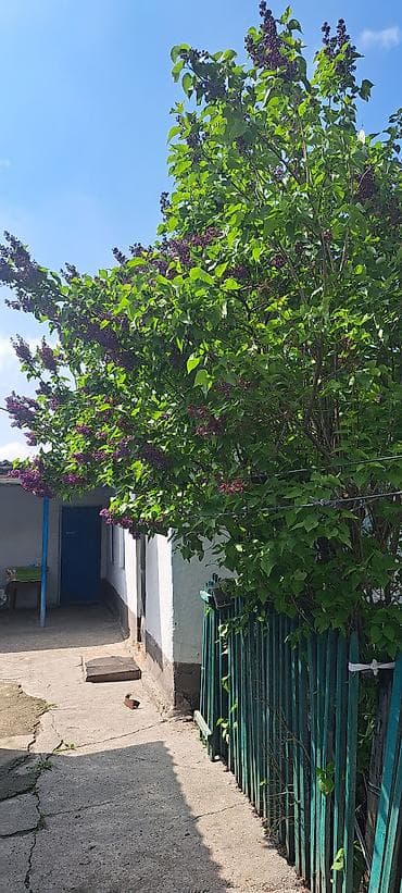 ош ишкаван: Продаётся земельный участок с домом в зелёной сельской местности. 8 — 5