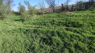 участки продаю: 15 соток, Для сельского хозяйства, Красная книга — 2