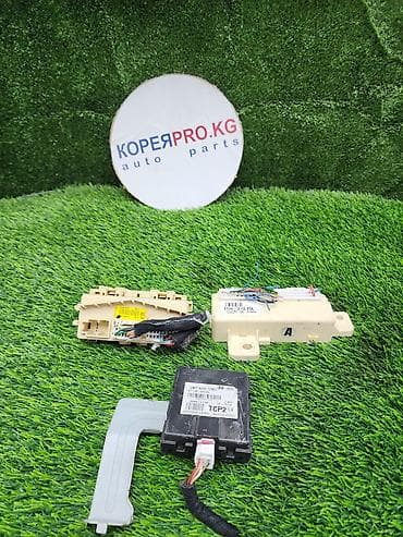 g2 master: Электронные модули Hyundai/Kia (оригинал) Состав лота: - Блок UNIT — 1