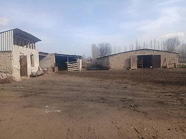 участок старый талчок: 30 соток, Для бизнеса, Красная книга — 5