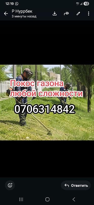 Уборка территории, Стрижка газона