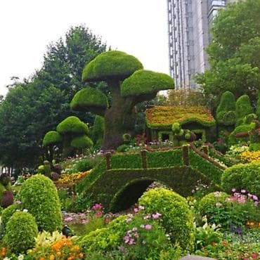 садовник: Профессиональный уход за садом и участком - Комплексное обслуживание — 6