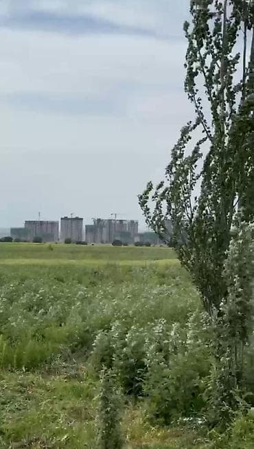 Земельные участки: 155 соток, Для сельского хозяйства — 3