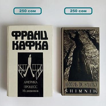 дневник реалиста: Роман, На русском языке, Новый, Самовывоз — 6