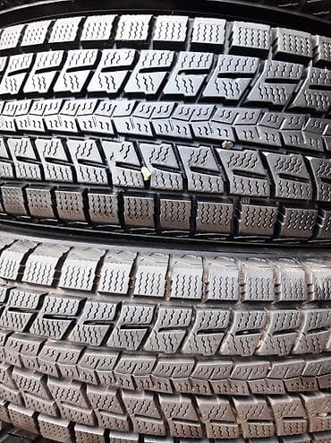 шины донголок: Шины 175 / 80 / R 16, Комплект, Япония, DUNLOP — 4