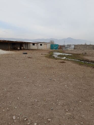 квартиры в ленинском: 214 соток, Для бизнеса, Красная книга, Тех паспорт, Договор купли-продажи — 3