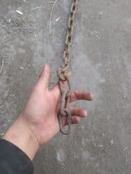 Грызуны: Цепь 2 метра — 2