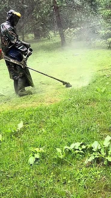 Клининговые услуги: Уборка территории, Стрижка газона — 1