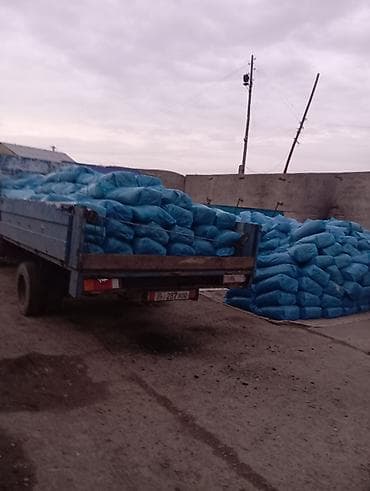 узи аппарат для животных: 25 кг ВЕС,С погрузкой +УПАКОВКИ,КУКУРУЗНЫЙ СИЛОС В ВАКУУМНОЙ — 5