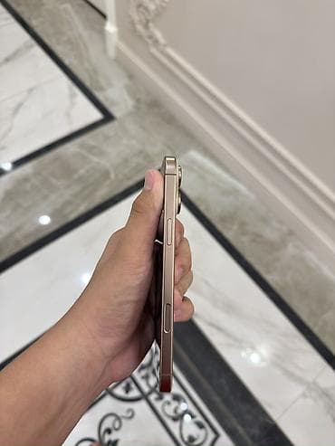 IPhone 16 Pro Max, Б/у, 256 ГБ, Desert Titanium, Чехол, 86 % — 3