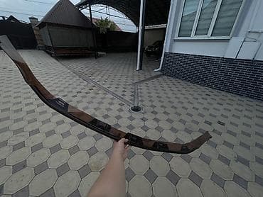 авто сетка: Мухобойка на капот Lexus, 2008 г., Б/у, Платная доставка — 1